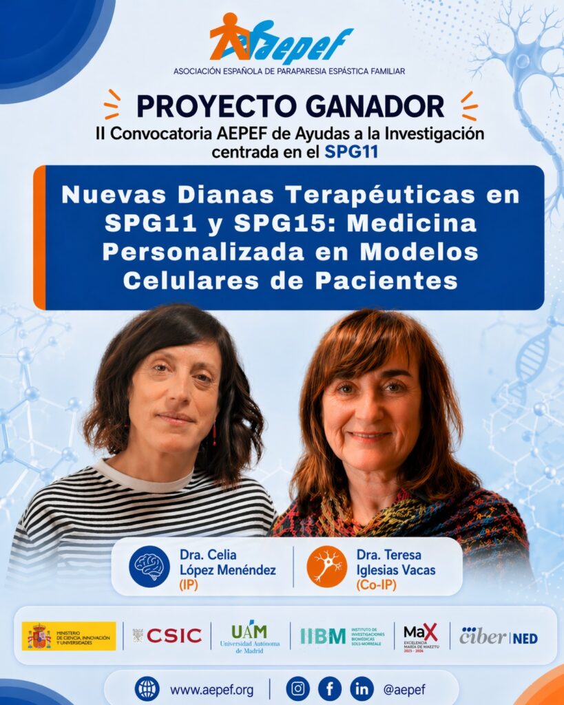 resolución proyecto ganador